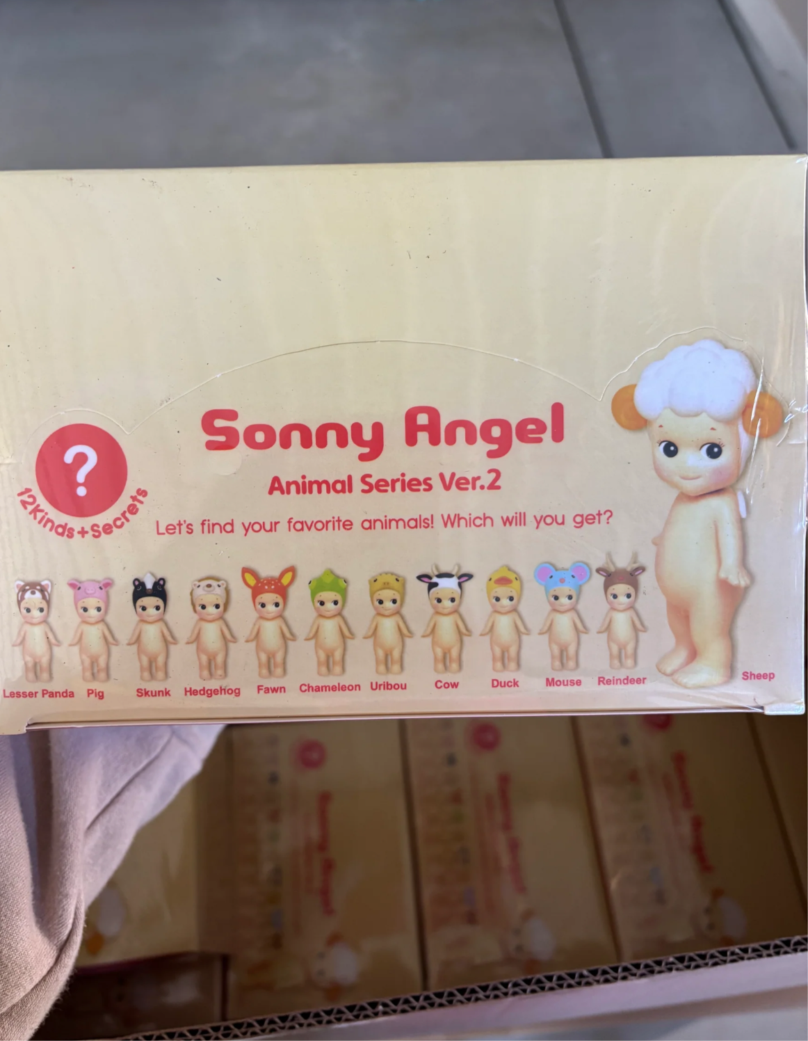 Animal ángel