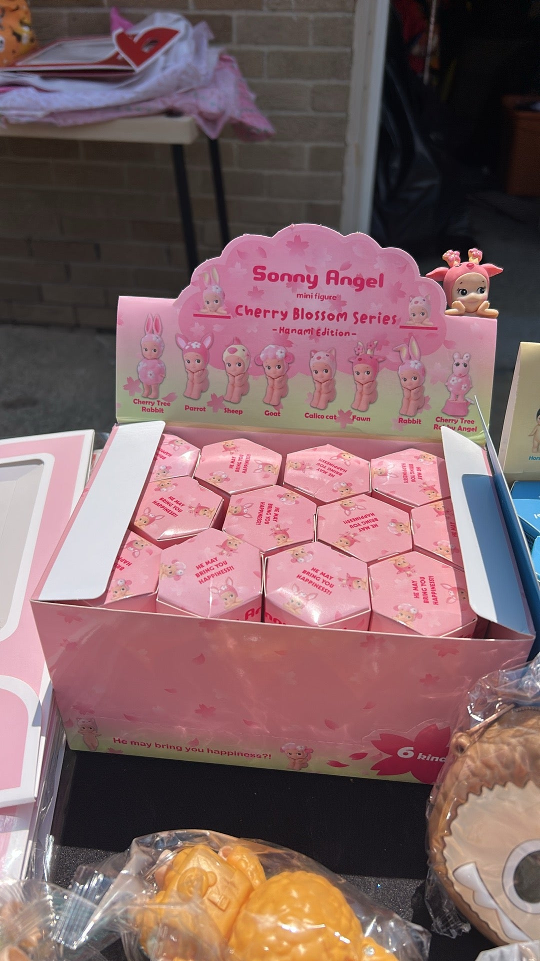 Sonny pink mystery box