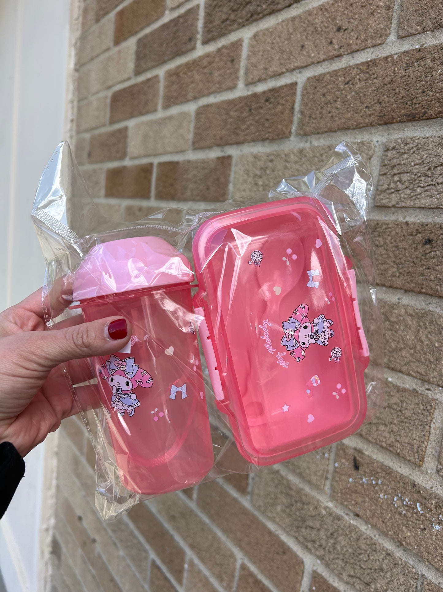 Lunch kit