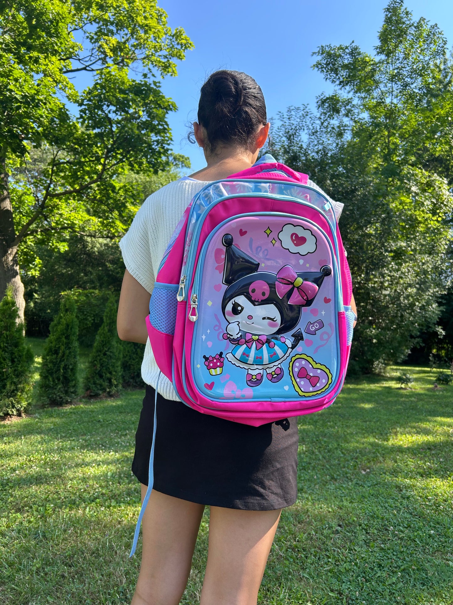Roku backpack