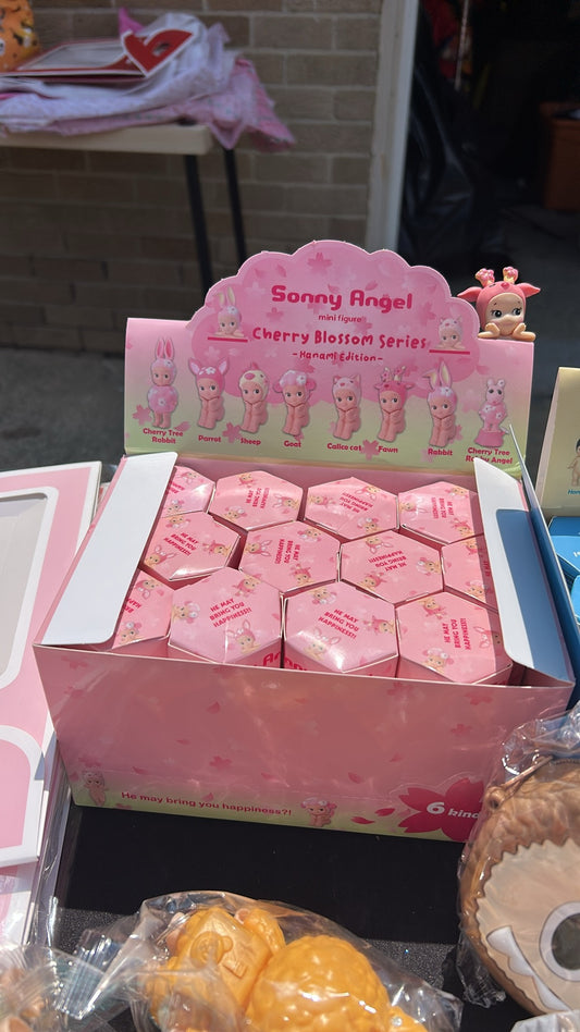 Sonny pink mystery box