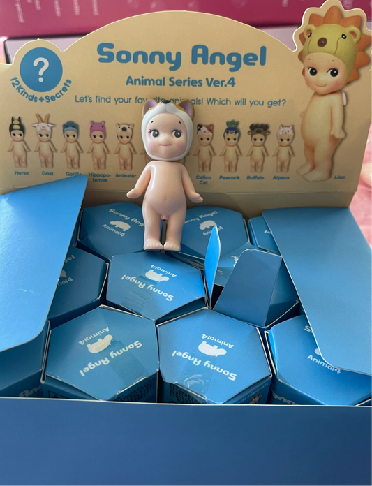 Sonny Angie